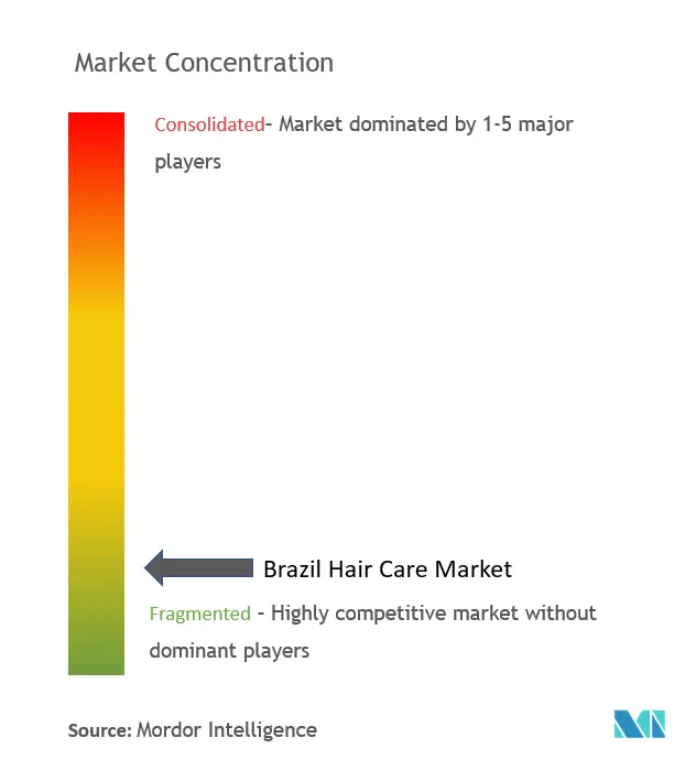 Concentración del mercado brasileño de cuidado del cabello